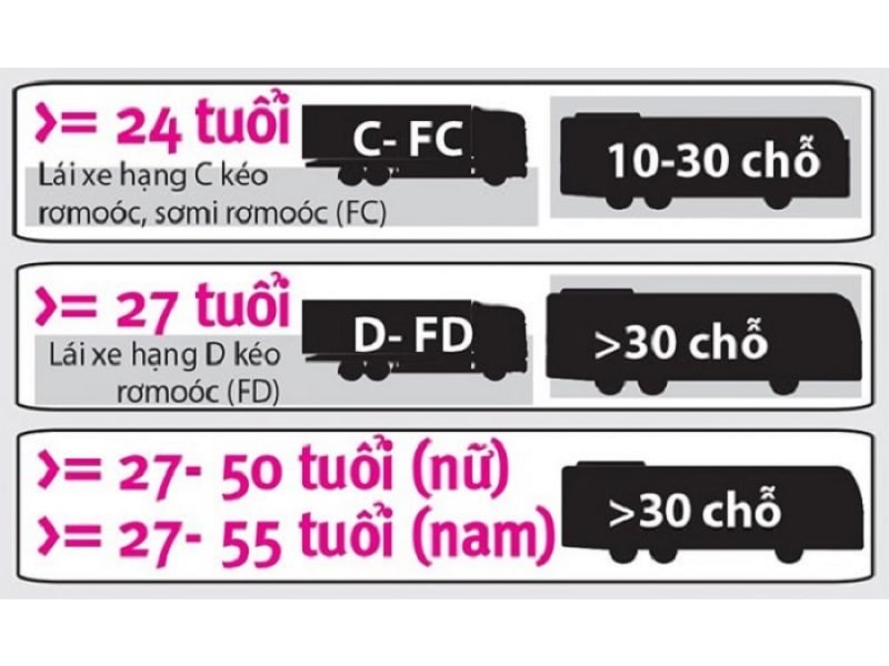 Độ tuổi quy định cho phép thi bằng lái xe hạng D