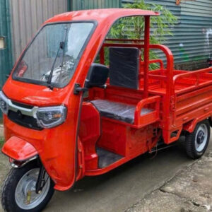 Xe ba bánh điện có mái che